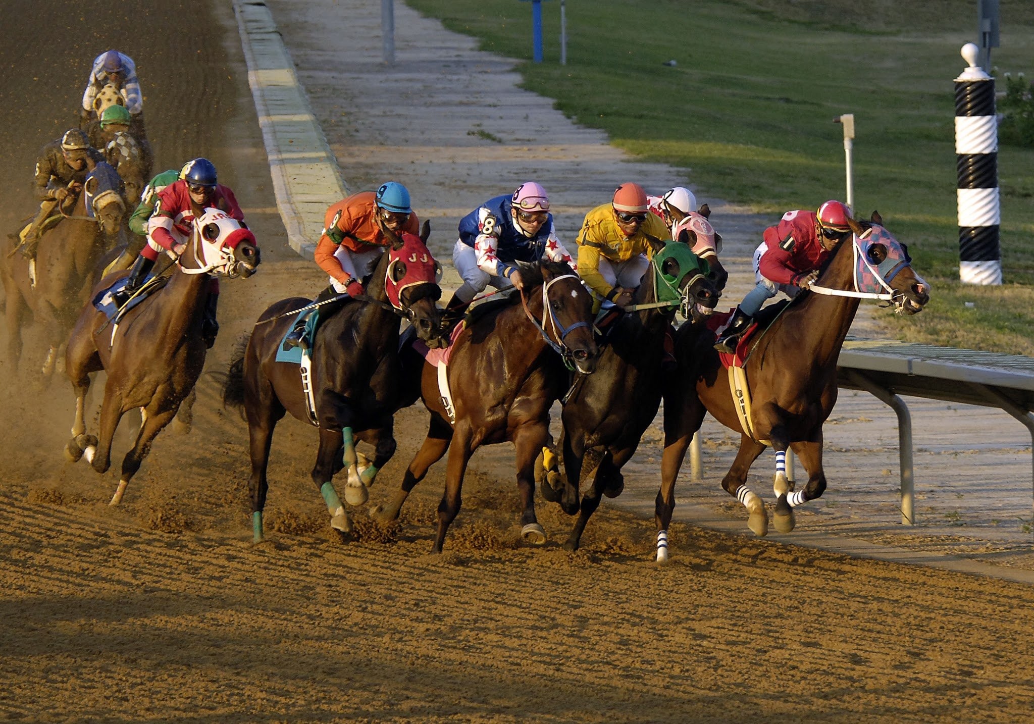 fondo de pantalla de carreras de caballos,caballo,deportes,brida,las carreras de caballos