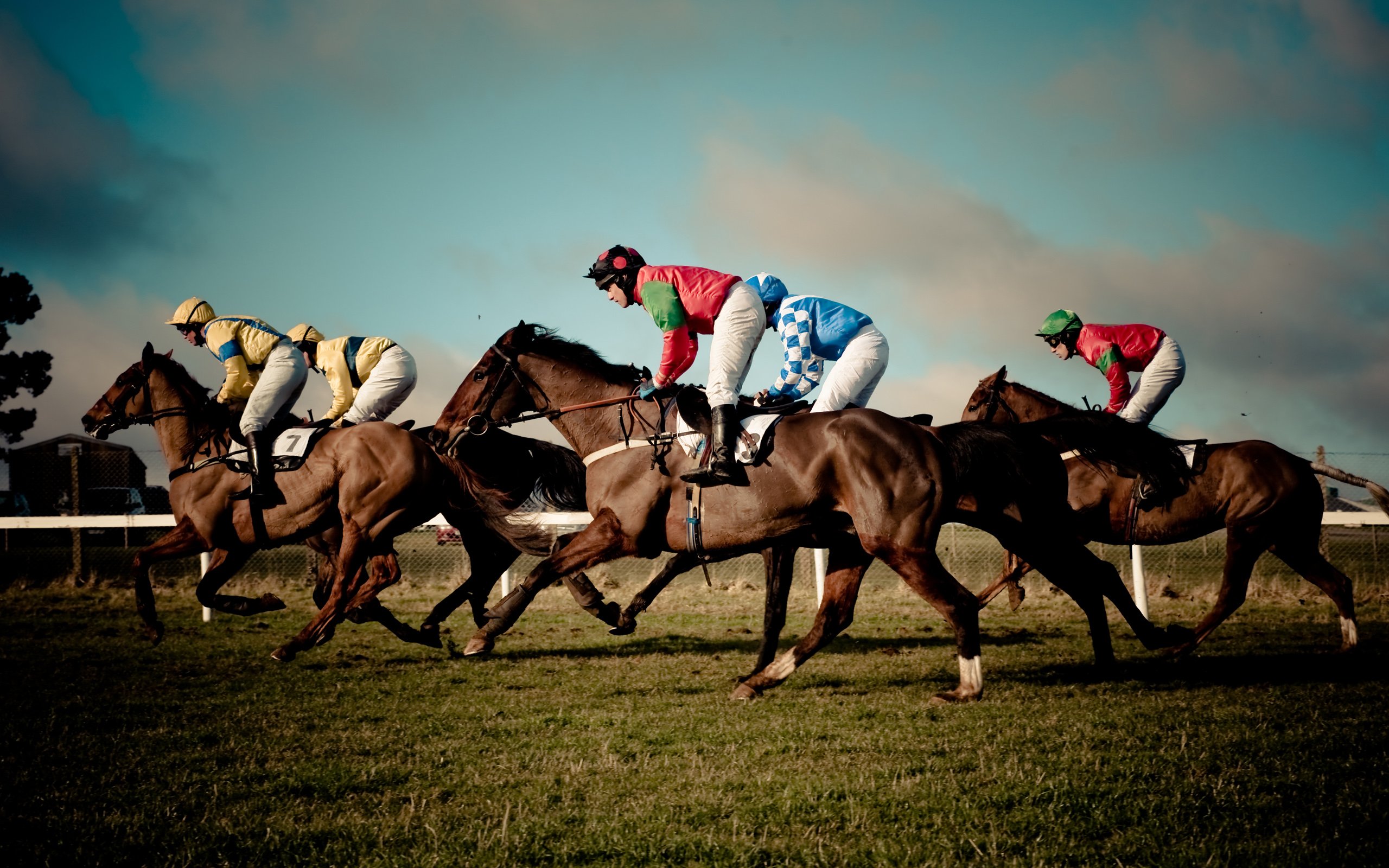 horse racing wallpaper,horse,animal sports,horse racing,jockey,equestrian sport