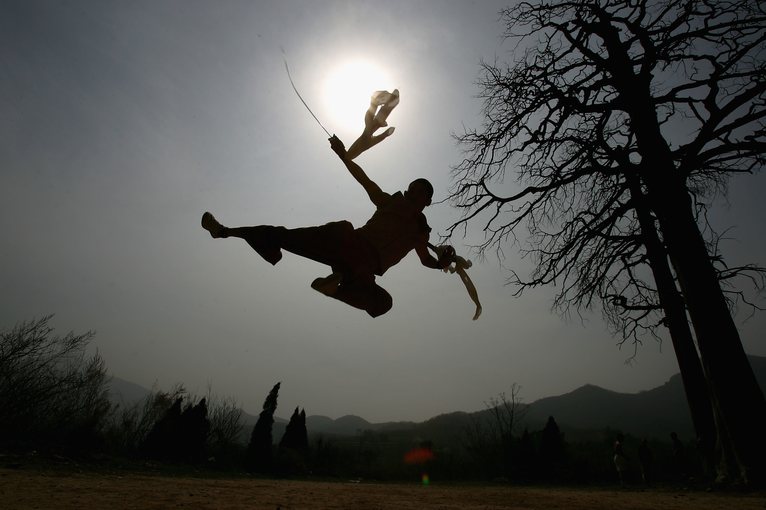 kung fu tapete hd,springen,himmel,glücklich,baum,silhouette