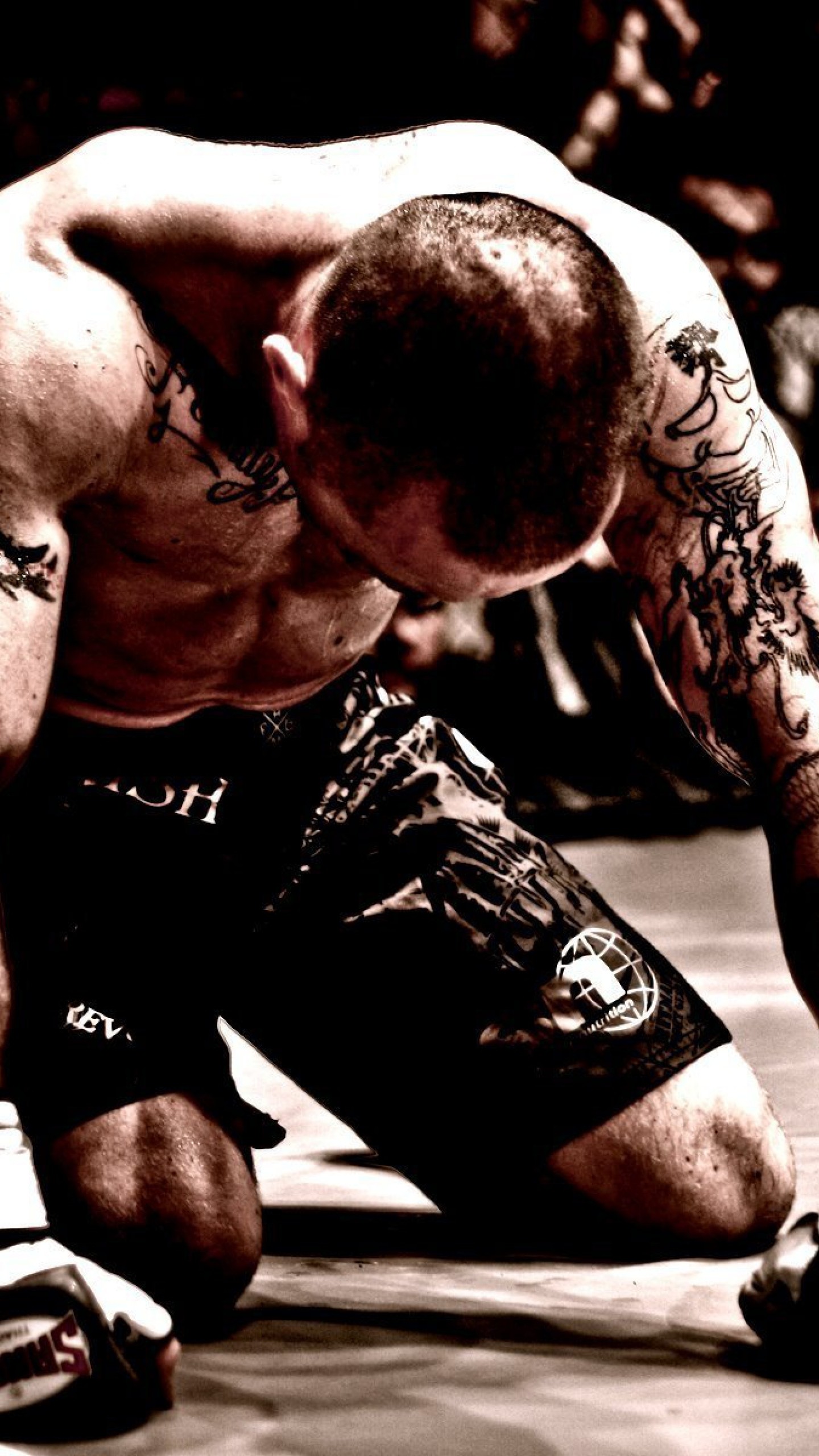 mma fighter wallpaper,arm,muscle,individual sports,shootfighting,physical fitness