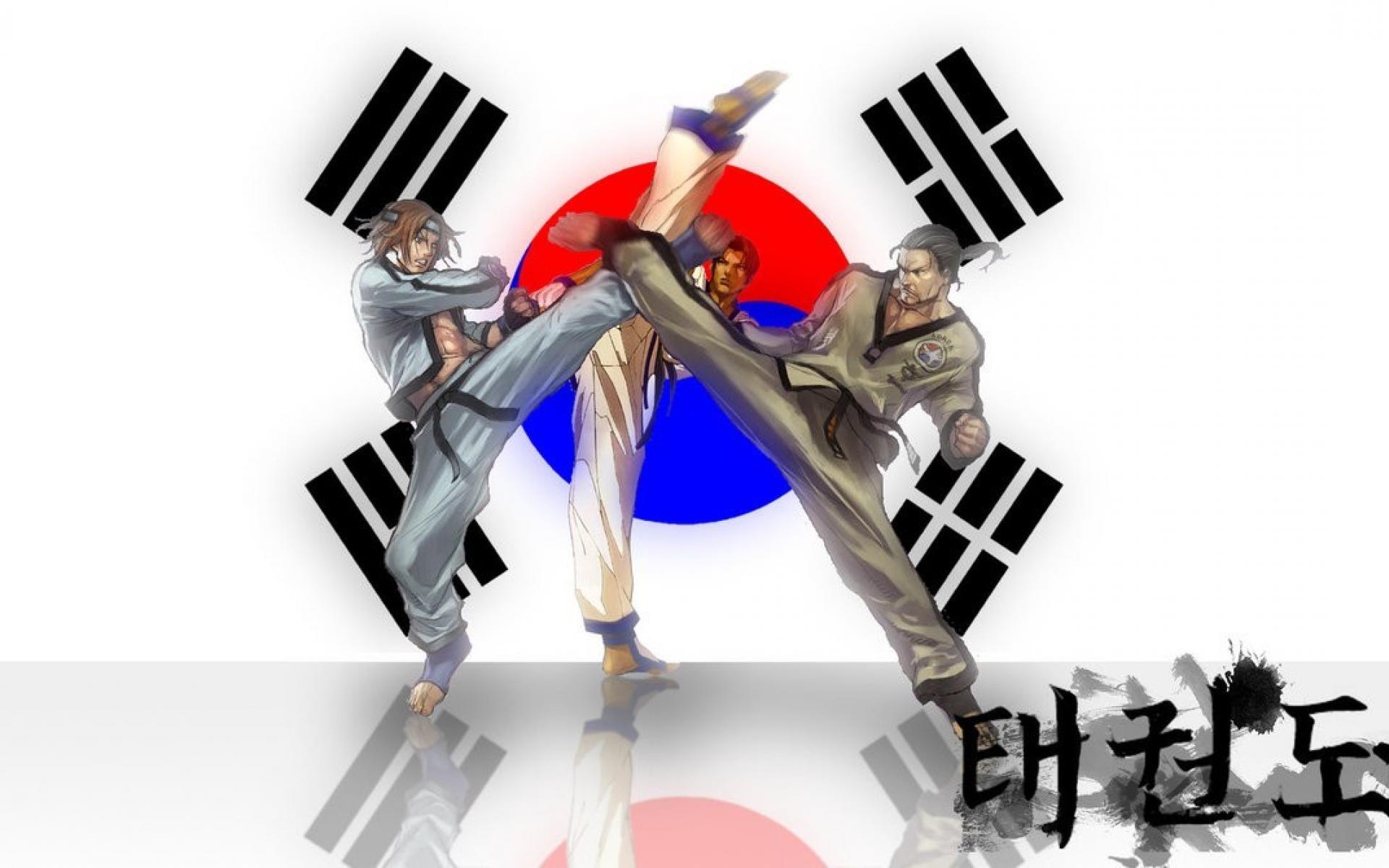 taekwondo wallpaper android,graphic design,illustration,graphics,art