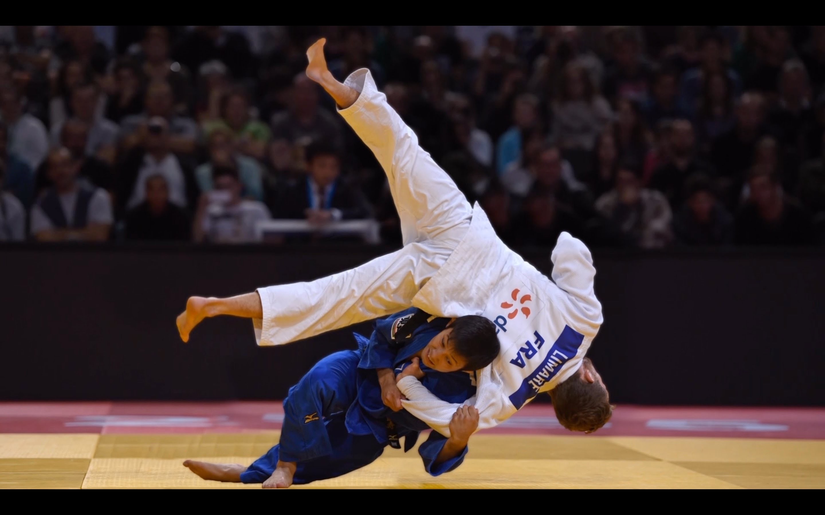 judo wallpaper hd,judo,gli sport,arti marziali,sport di combattimento