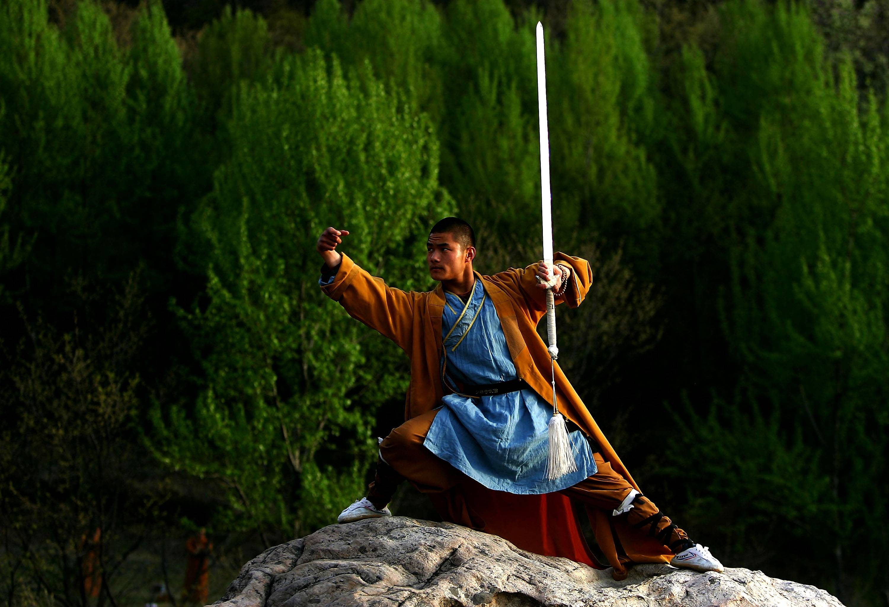shaolin kung fu tapete,urwald,baum,regenwald,wald,pflanze