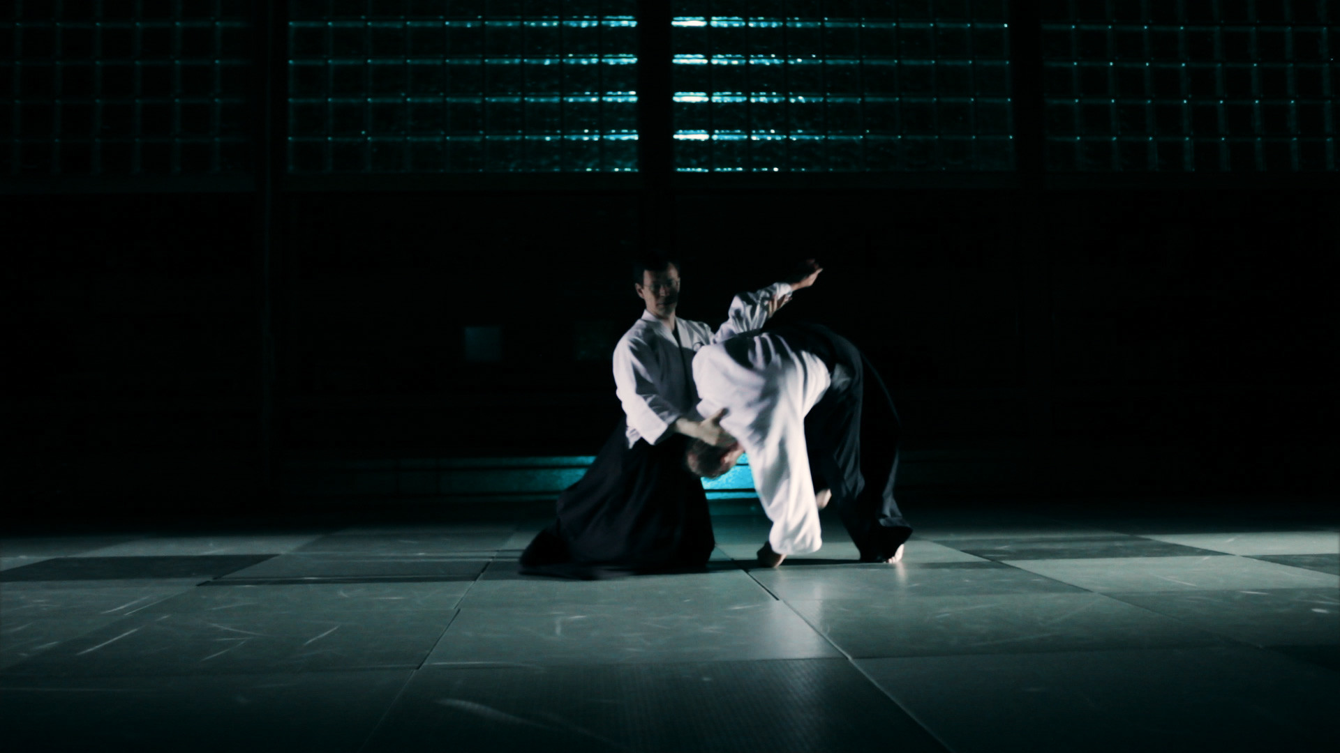 carta da parati aikido,aikido,performance art,danza moderna,prestazione,palcoscenico
