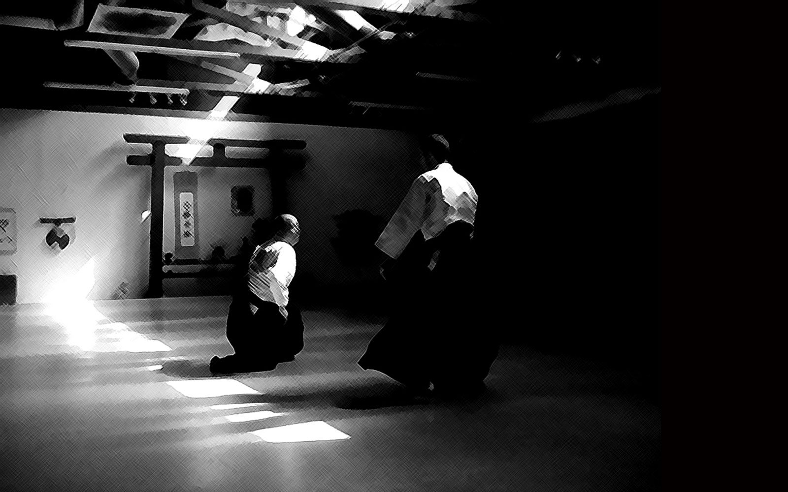 fond d'écran d'aikido,noir,blanc,aikido,kinomichi,noir et blanc