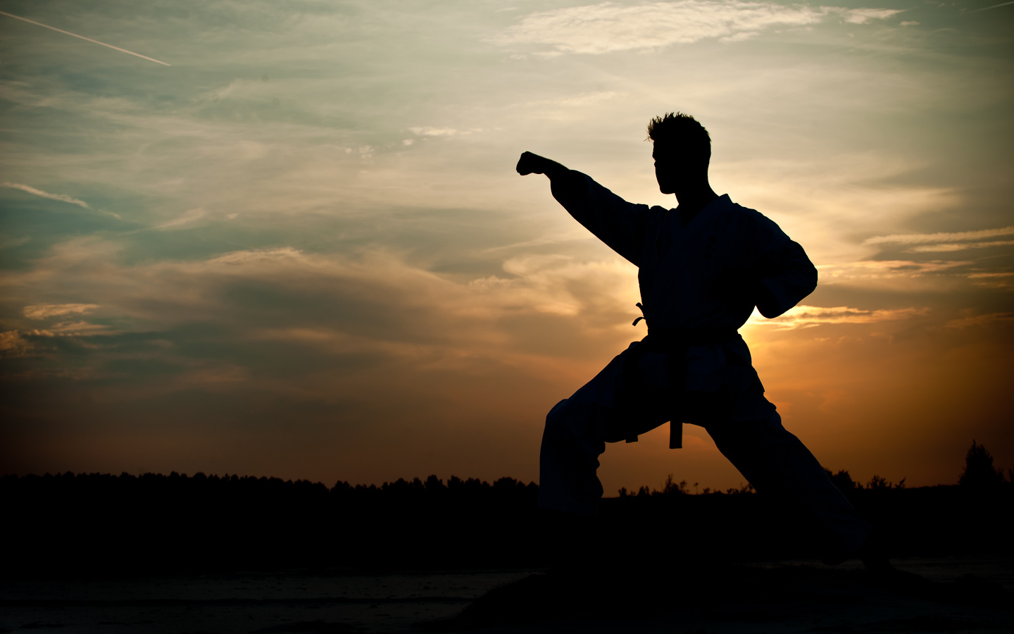 karate kid wallpaper,people in nature,kung fu,sky,silhouette,t'ai chi ch'uan