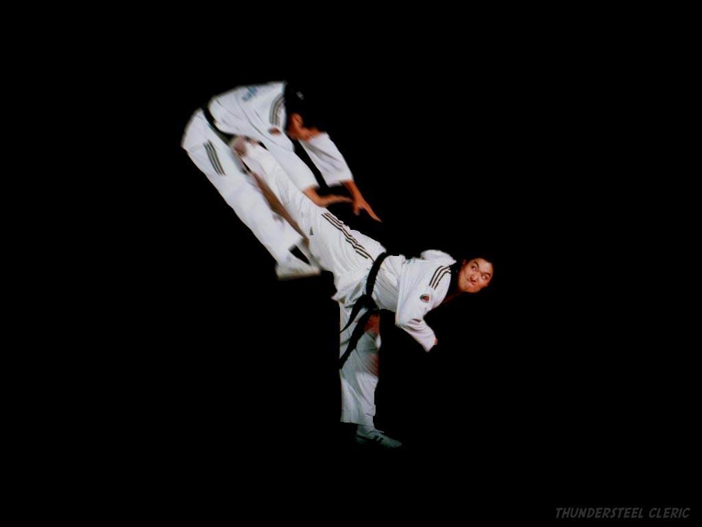 tkd tapete,taekwondo,judo,kampfkunst,brasilianisches jiu jitsu,karate