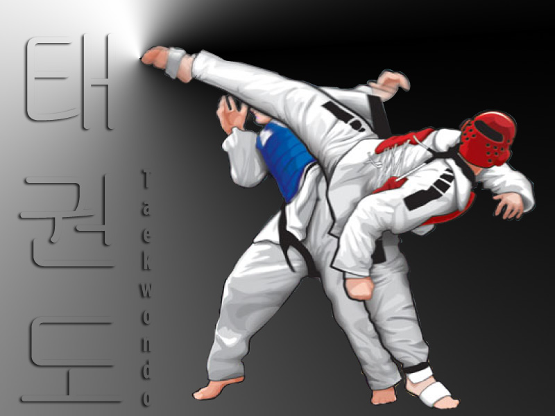 tkd 바탕 화면,브라질 주짓수,유도,무술,태권도,전투 스포츠