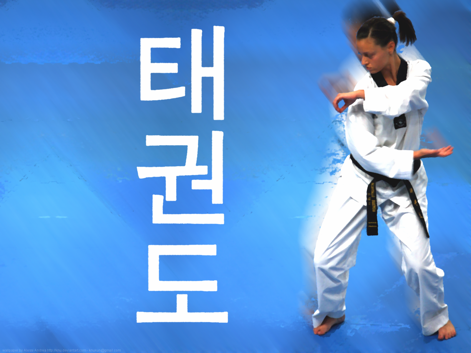 fond d'écran tkd,judo,karaté,arts martiaux,taekwondo