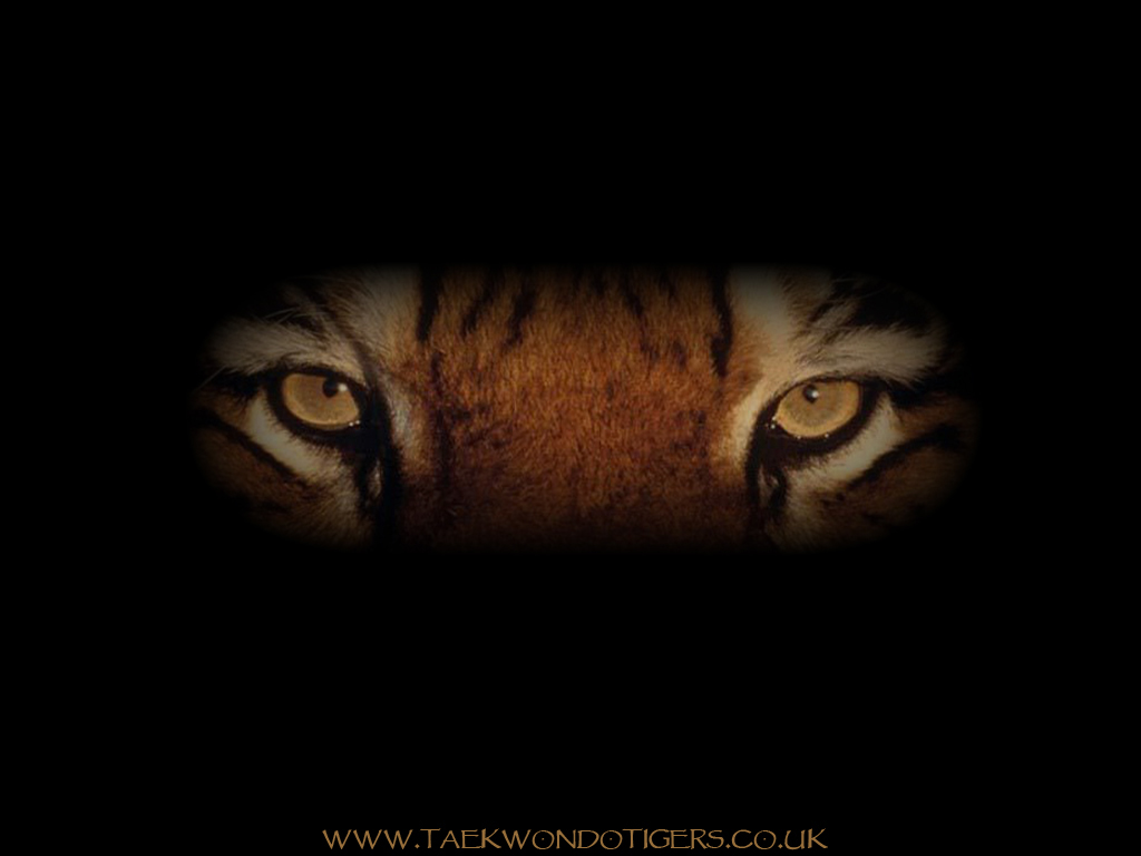 tkd wallpaper,face,black,darkness,eye,nose