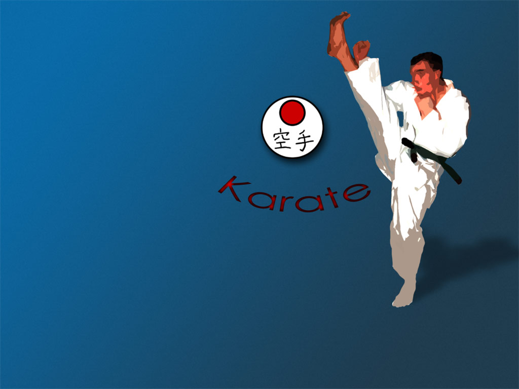 karate kick wallpaper,taekwondo,patada,kárate,artes marciales,judo