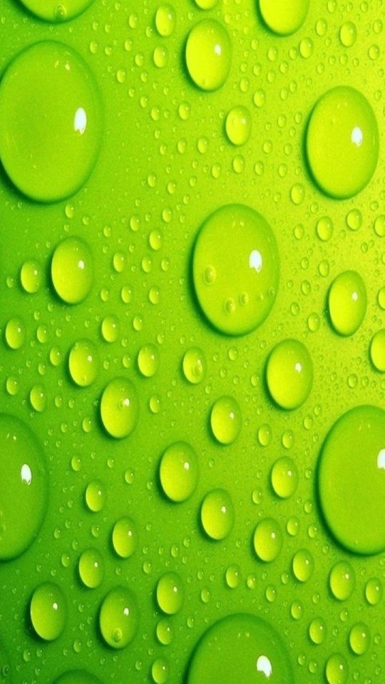 j2 wallpaper download,green,water,drop,dew,yellow