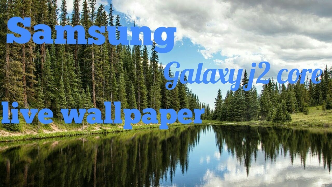 samsung j2 live wallpaper,paisaje natural,naturaleza,reflexión,árbol,bosque