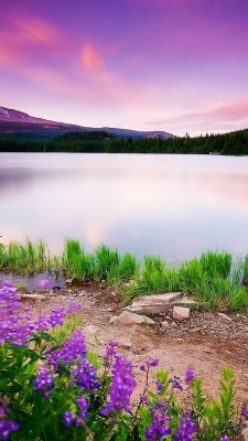 j2 sfondi 3d,paesaggio naturale,natura,lavanda,lago,cielo