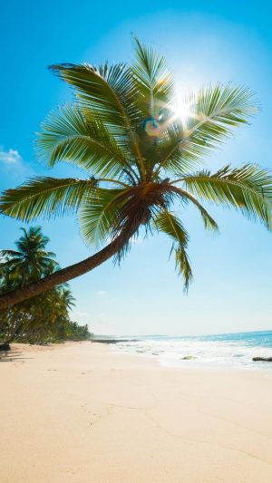 fonds d'écran j2 3d,arbre,la nature,palmier,ciel,caraïbes