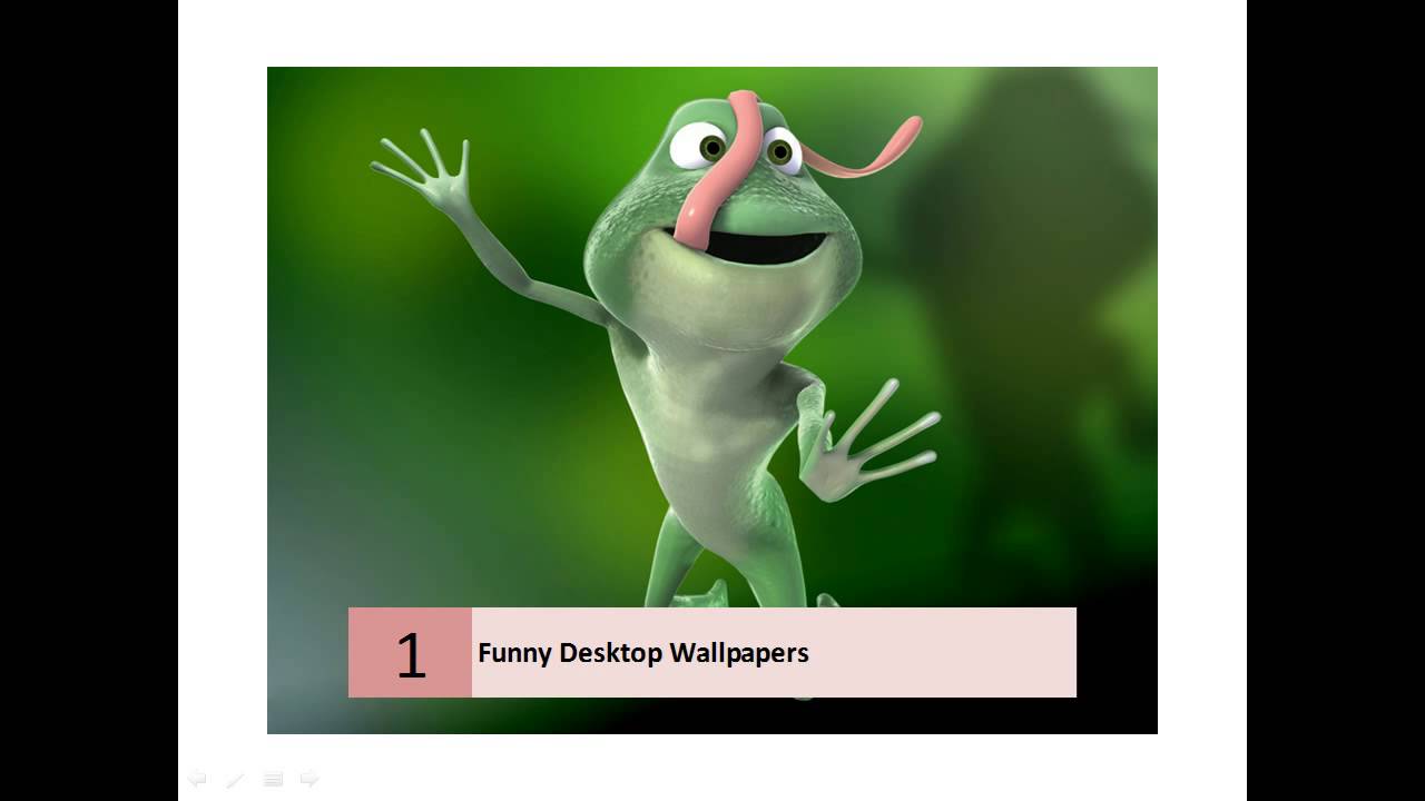 clever wallpapers,tree frog,frog,animation,amphibian,organism