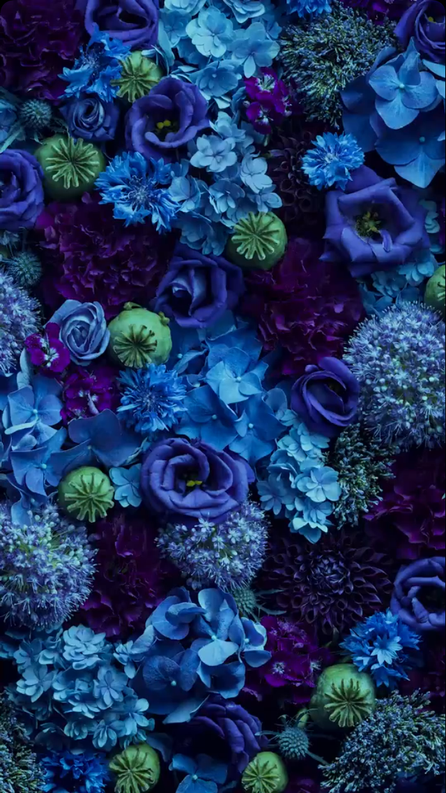 테이프 배경 화면,푸른,보라색,제비꽃,터키 옥,무늬