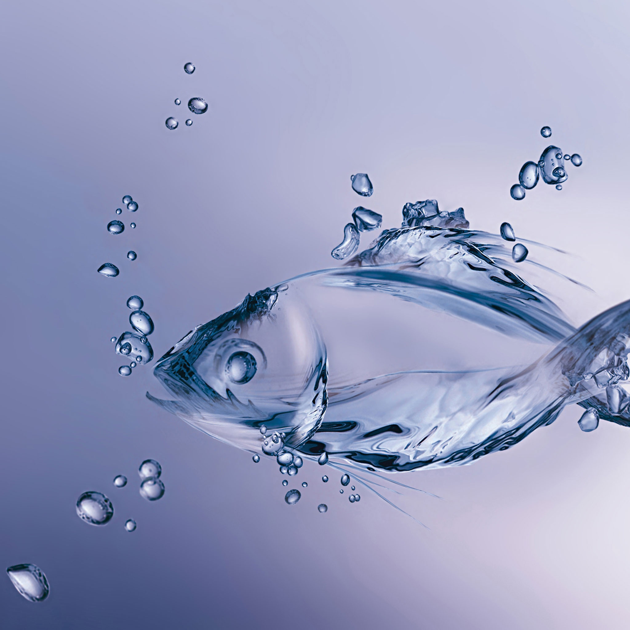 ipad wallpaper art,acqua,liquido,pesce,far cadere,illustrazione