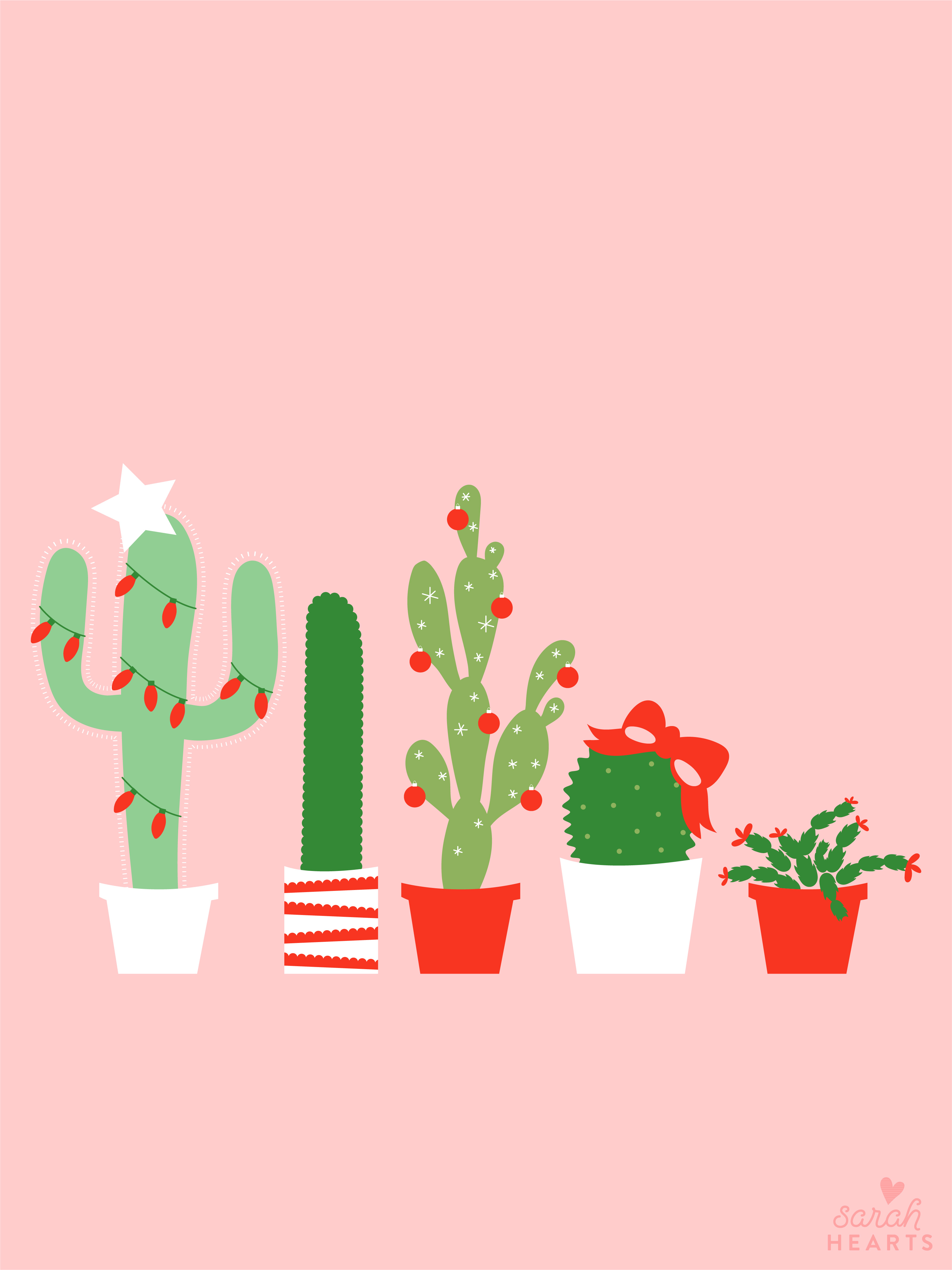 fond d'écran ipad art,cactus,pot de fleur,plante,fleur,saguaro