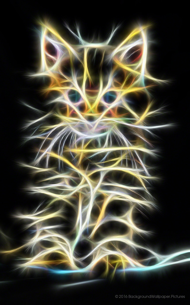 papier peint artistik,félidés,chat,moustaches,art fractal,chats de petite à moyenne taille