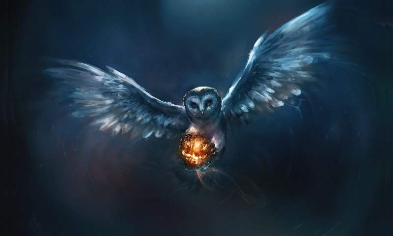 owl art wallpaper,supernatural creature,fractal art,darkness,cg artwork,wing