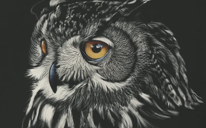 owl art wallpaper,owl,bird,bird of prey,beak,eastern screech owl