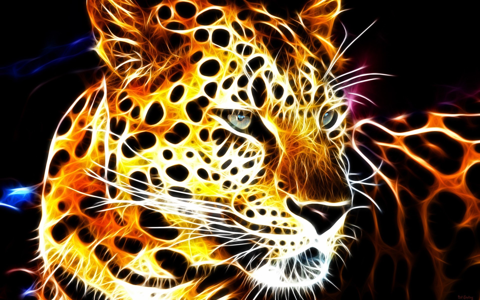 download gratuito di sfondi artistici,giaguaro,felidae,barba,natura,leopardo