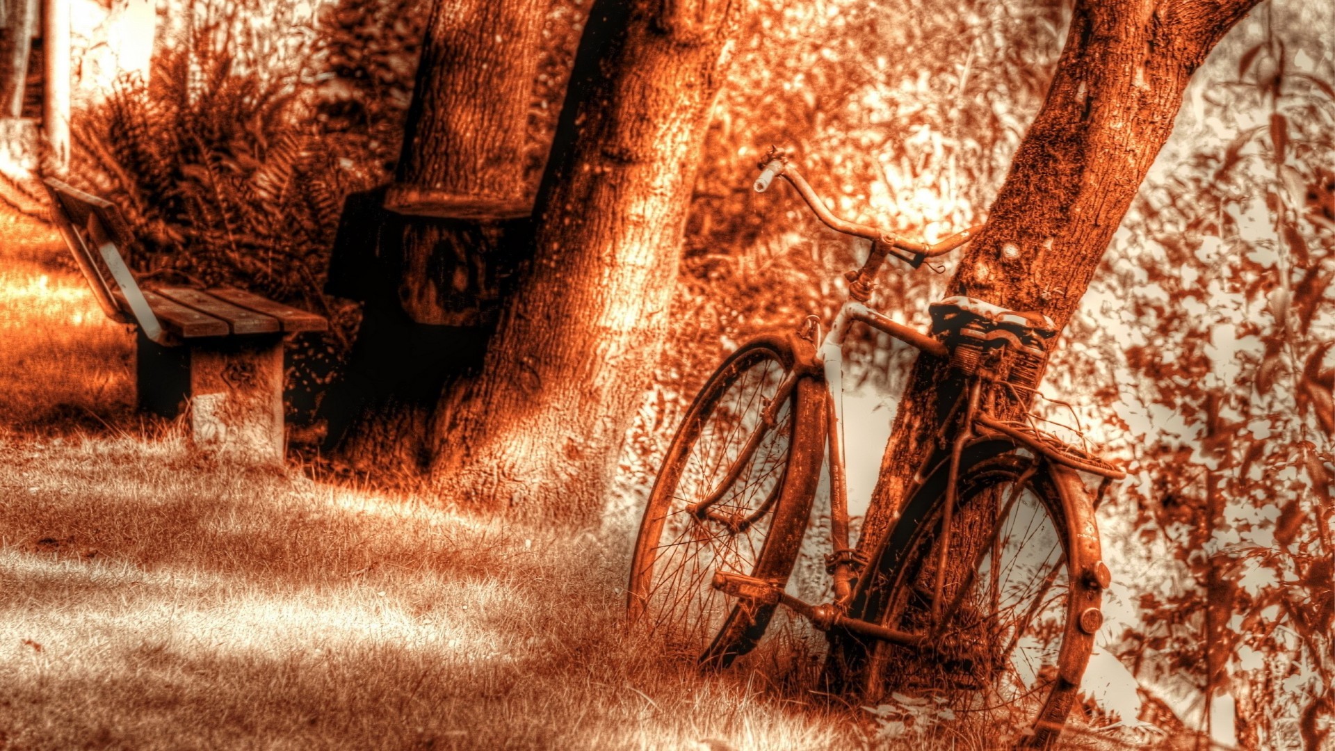 free art wallpaper download,bicycle,vehicle,bicycle wheel,cycling,bicycle tire
