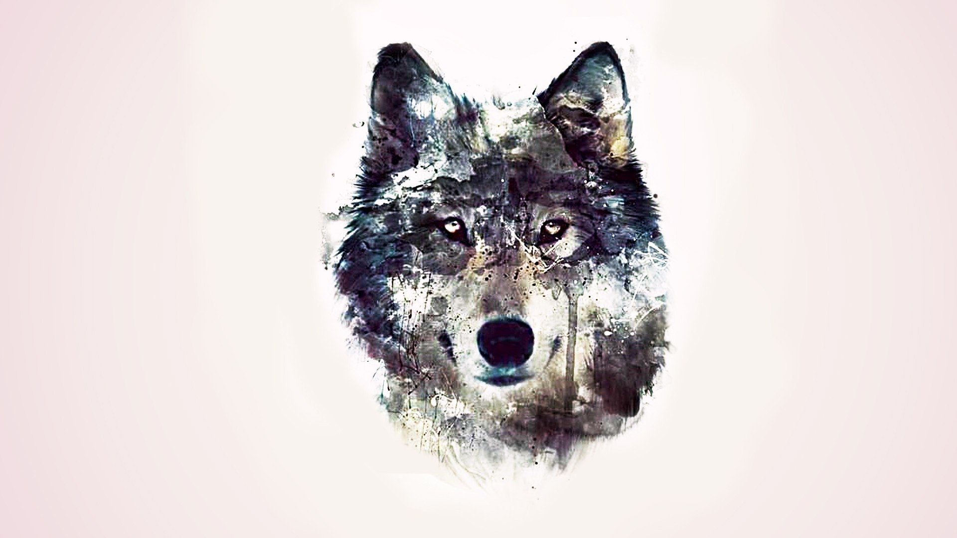 papier peint d'art de loup,loup,illustration,museau,art,dessin