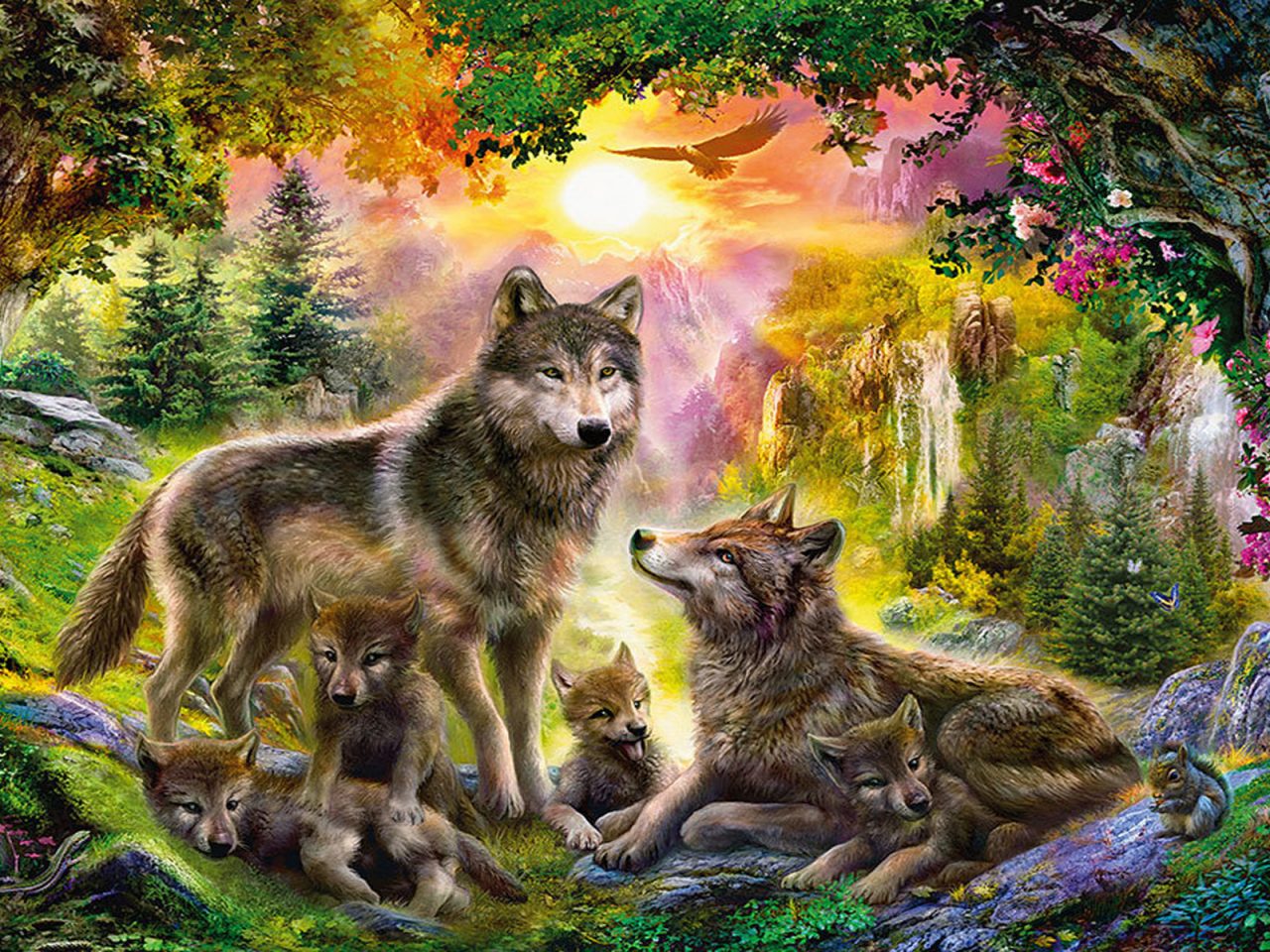 carta da parati arte lupo,natura,natura,lupo,canis lupus tundrarum,lupo rosso