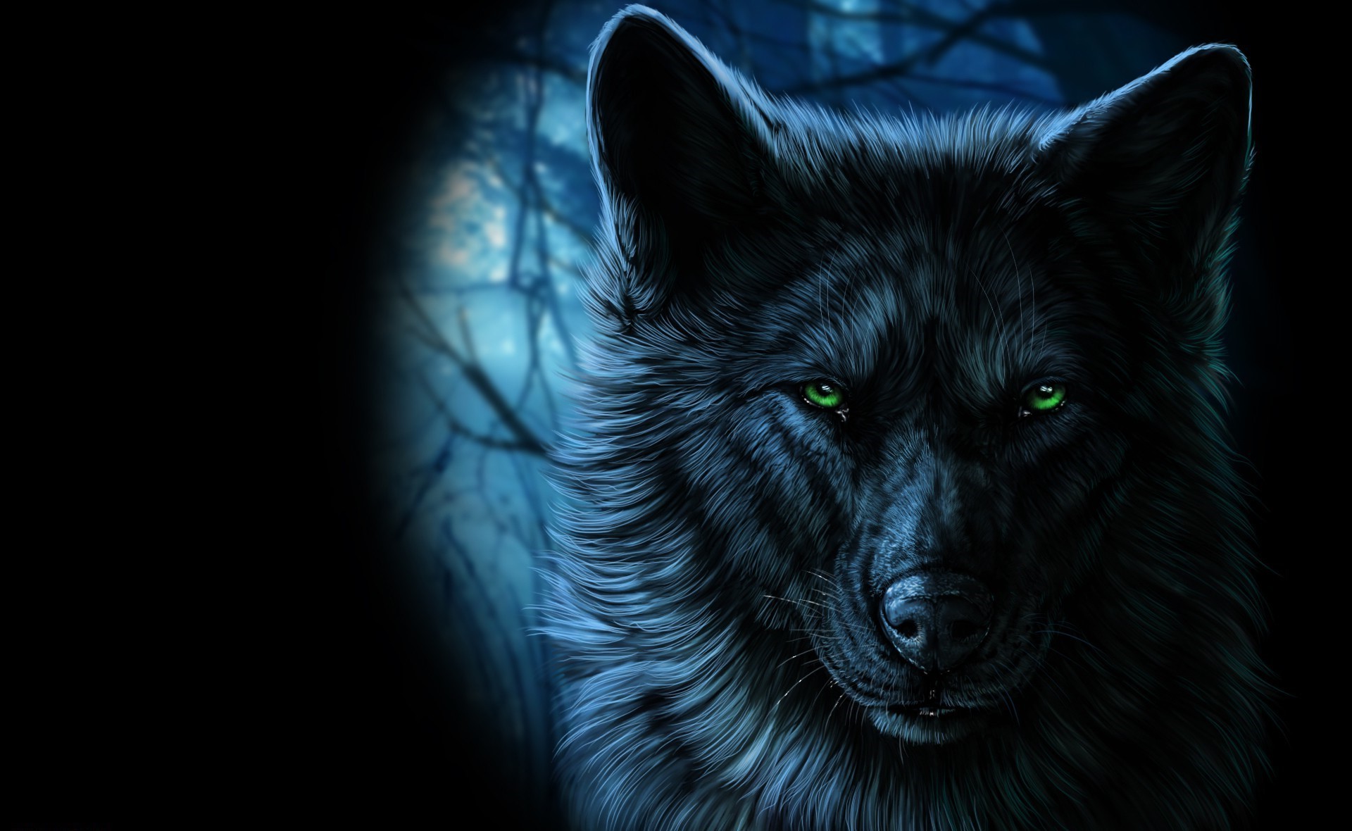 wolf art wallpaper,black,wolf,canidae,wildlife,snout