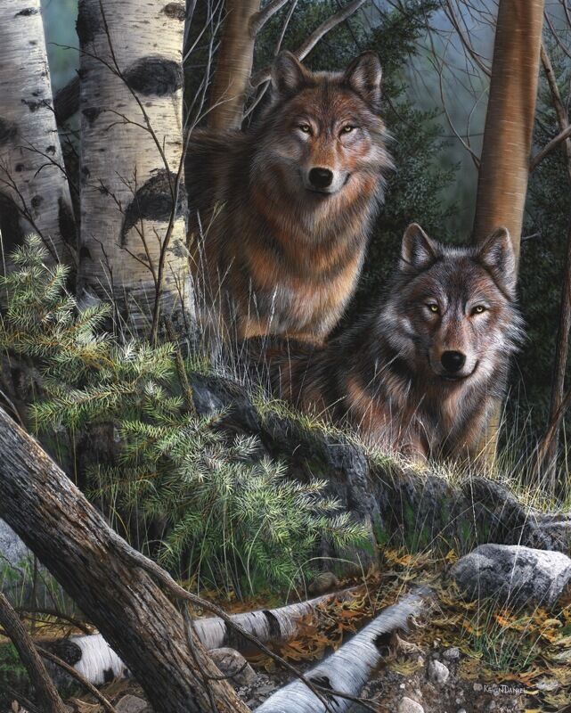 オオカミの芸術の壁紙,野生動物,狼,木,陸生動物,コヨーテ