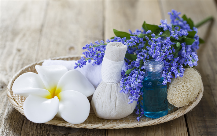 wellness tapete,blume,blau,lavendel,traubenhyazinthe,lila