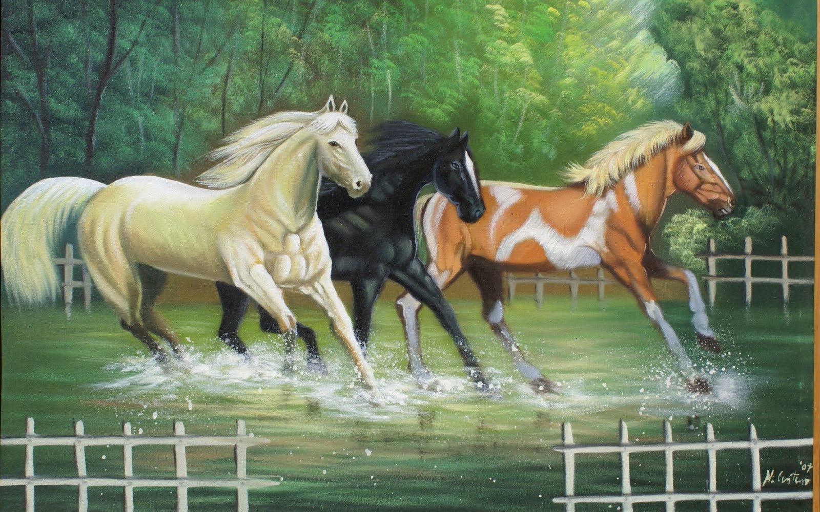 beau fond d'écran,cheval,crinière,étalon,paysage naturel,jument