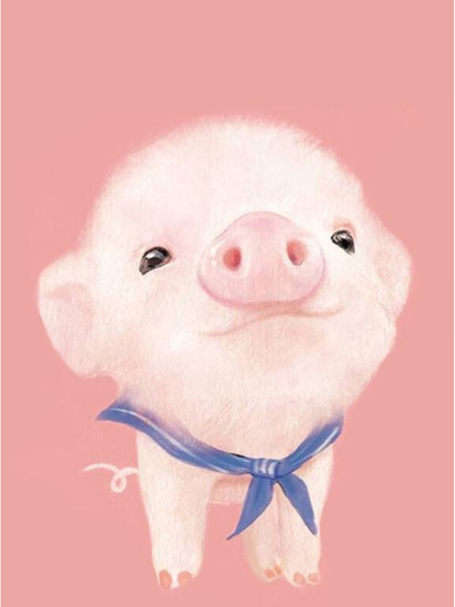 cerdo fondo de pantalla para iphone,cerdo domestico,suidae,rosado,hocico,dibujos animados