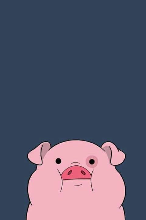 pig iphone wallpaper,pink,domestic pig,cartoon,snout,illustration