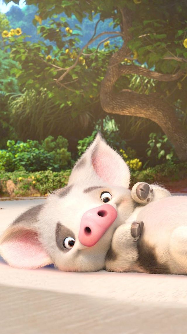 cerdo fondo de pantalla para iphone,hocico,suidae,cerdo domestico,ganado,animación