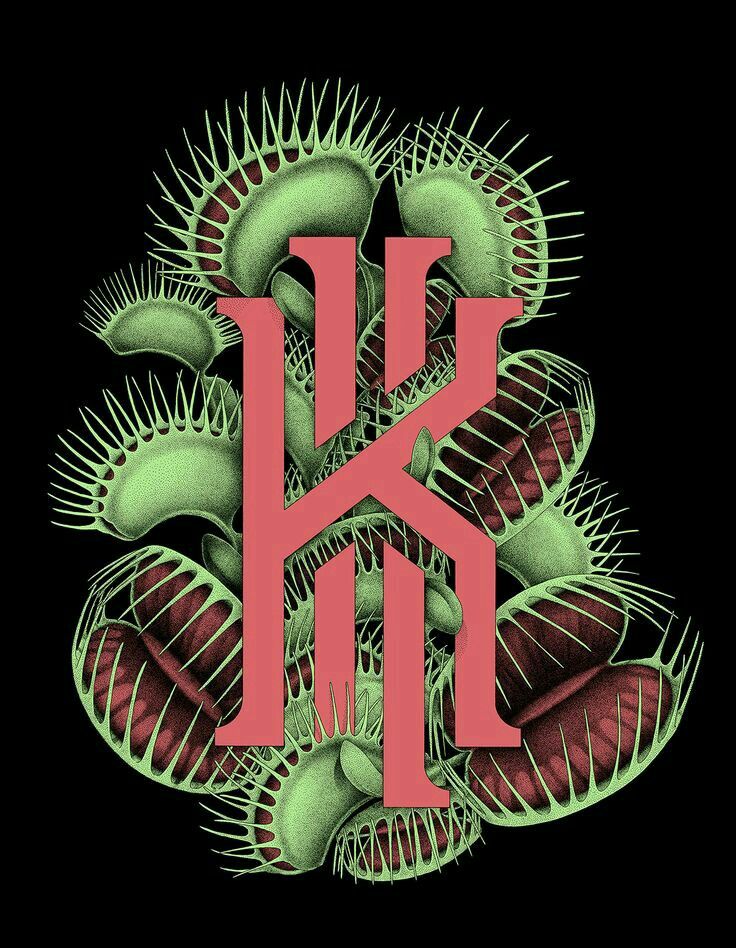 kyrie logo wallpaper,grün,t shirt,schriftart,oberbekleidung,pflanze
