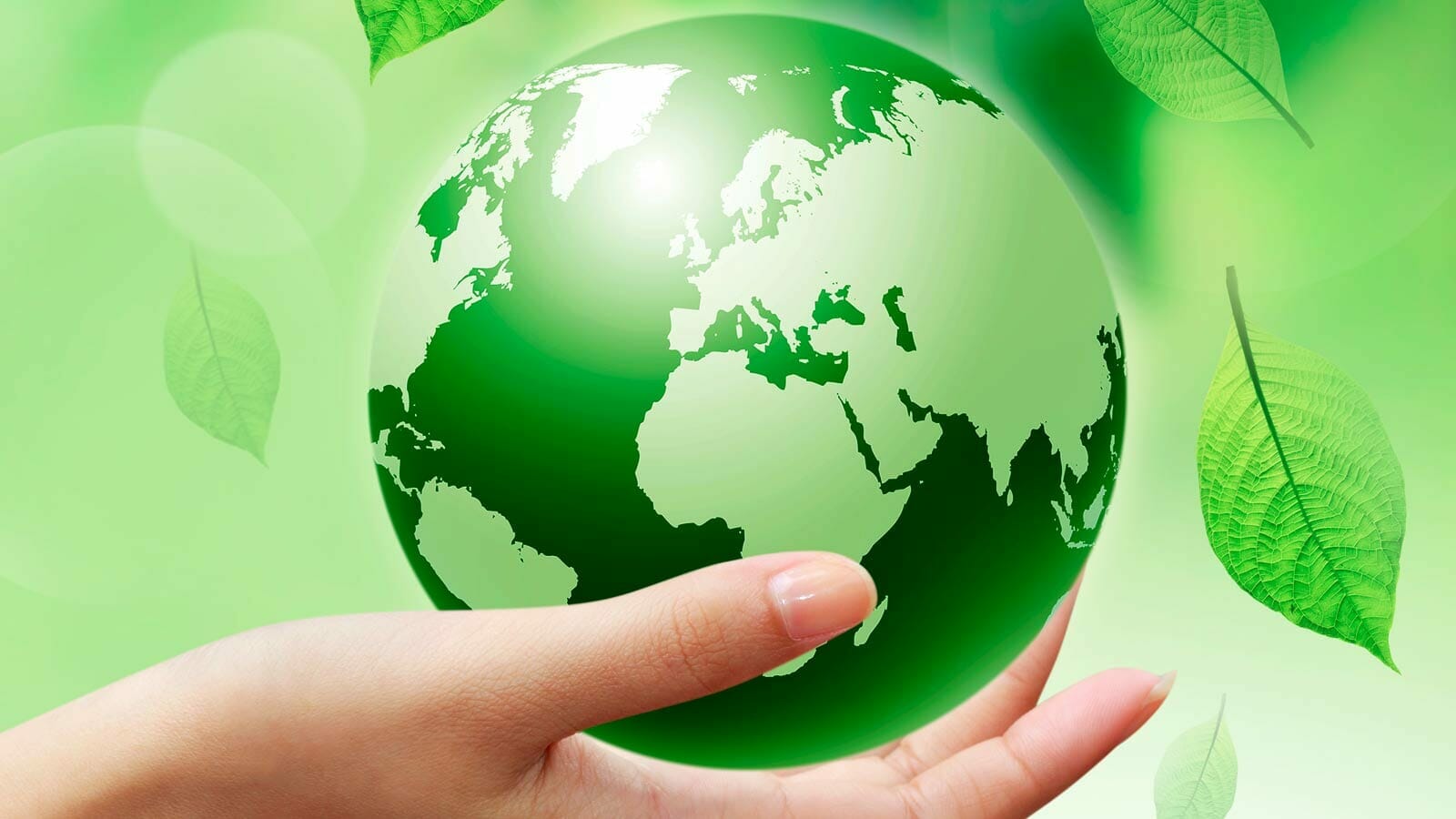 papier peint à économie d'énergie,vert,monde,globe,terre,main