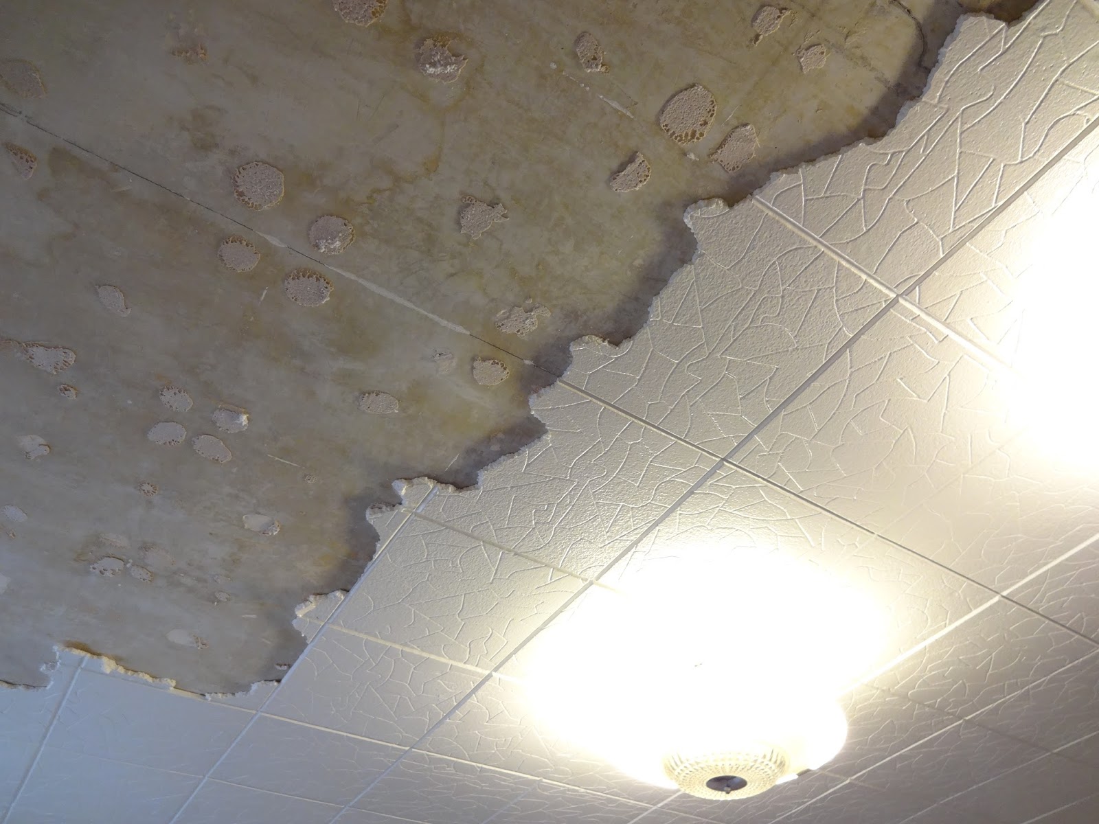 papier peint en polystyrène,plafond,sol,sol,tuile