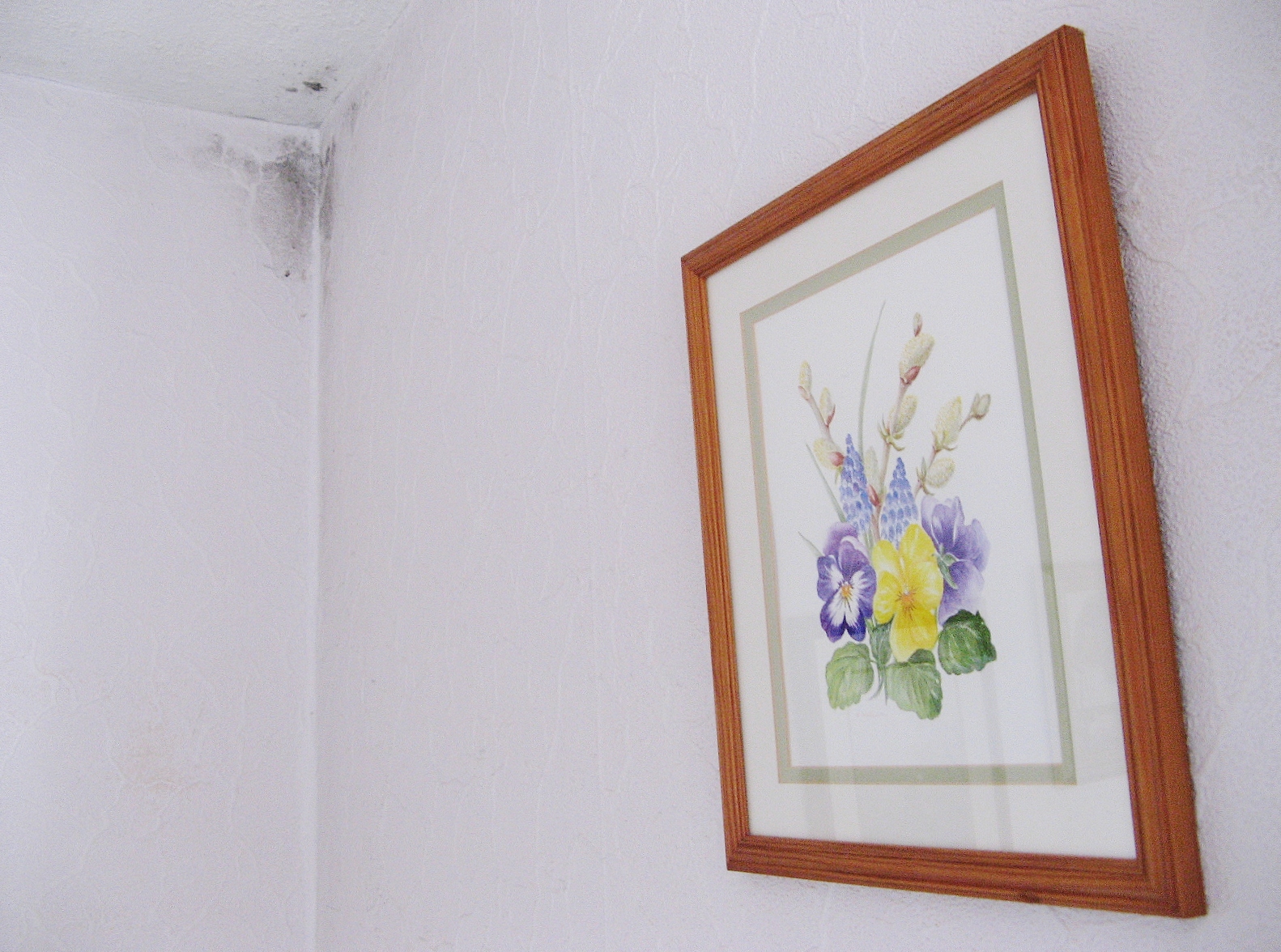 polystyrene wallpaper,wall,picture frame,flower,botany,room (457164