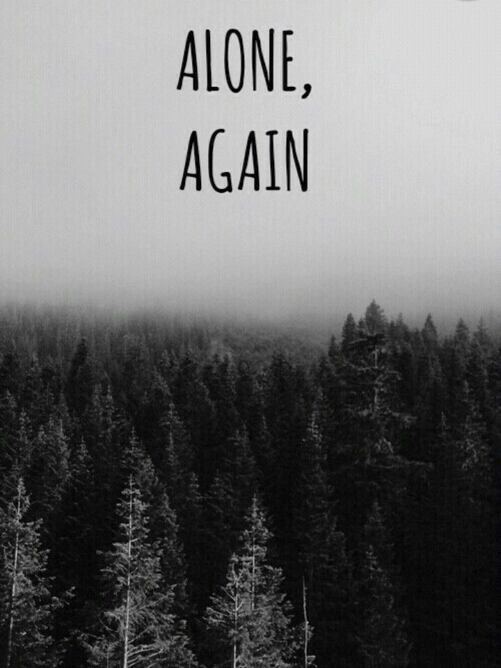 sad phone wallpaper,nature,atmospheric phenomenon,tree,text,sky