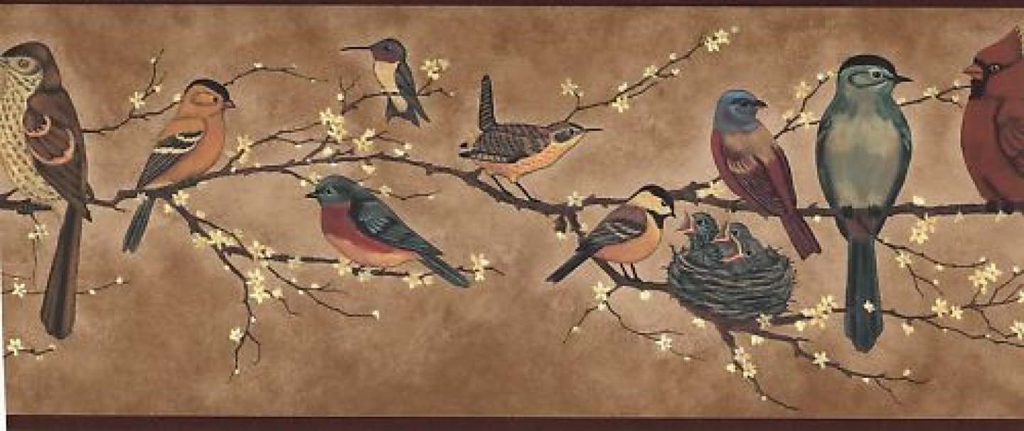 bordure de papier peint oiseau,oiseau,bouvreuil,moineau,faune,la peinture