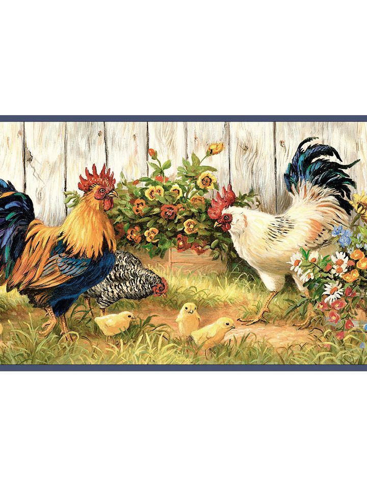 bordure de papier peint de poulet,poulet,coq,oiseau,volaille,bétail