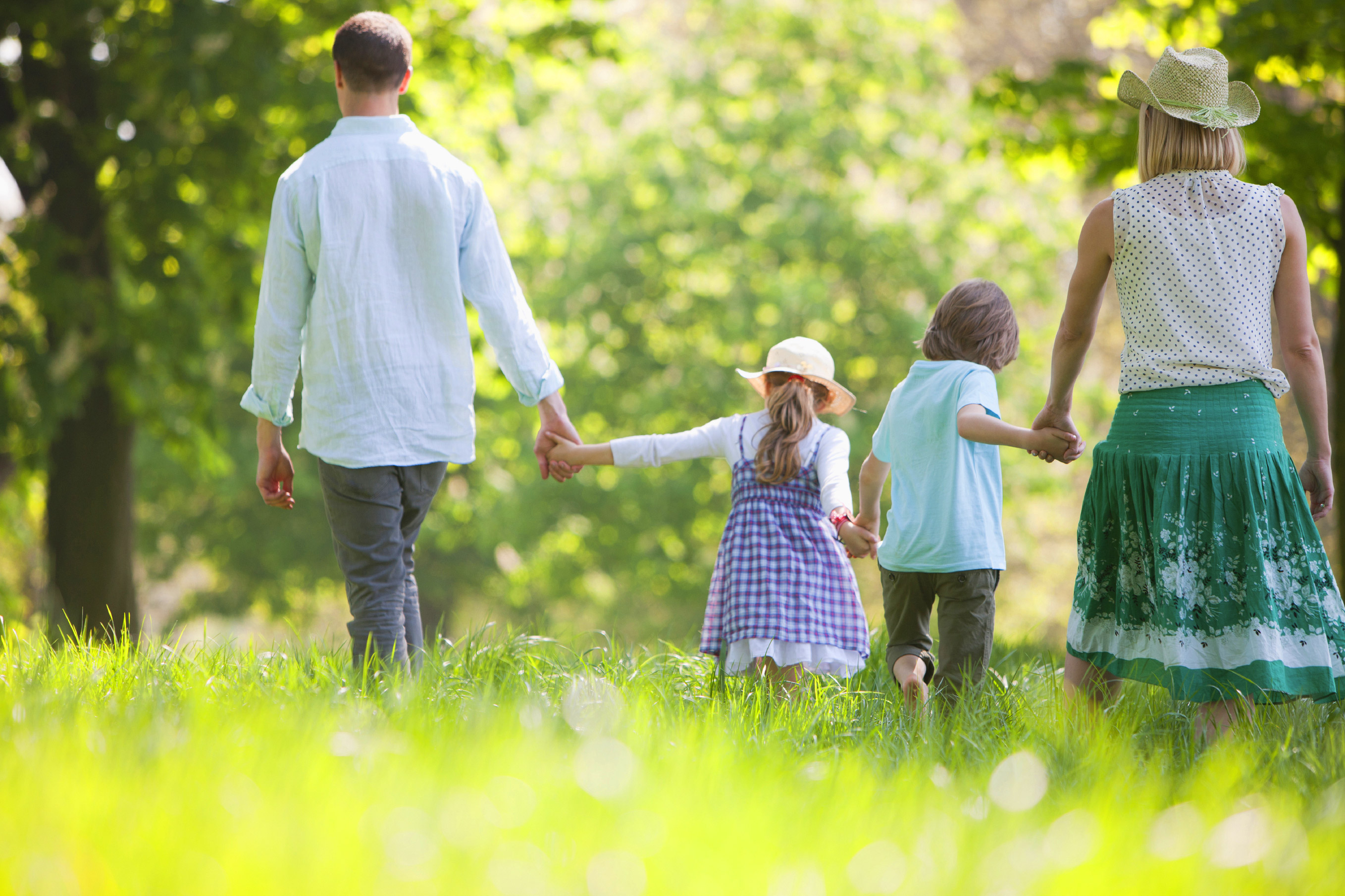 familiengruppe wallpaper,menschen,fotografieren,natur,grün,händchen halten