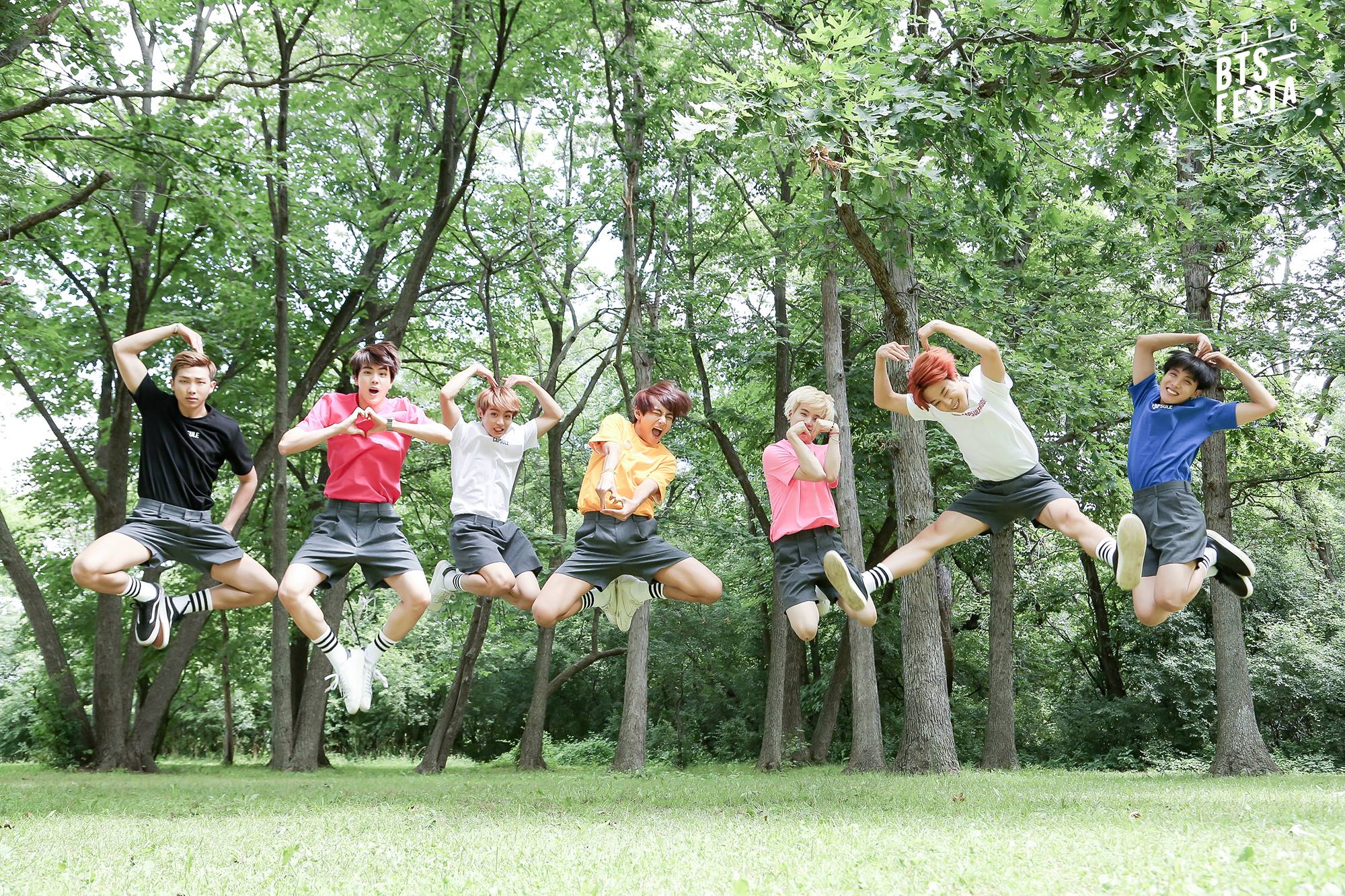 fond d'écran de groupe familial,amusement,arbre,loisir,équipe,plante