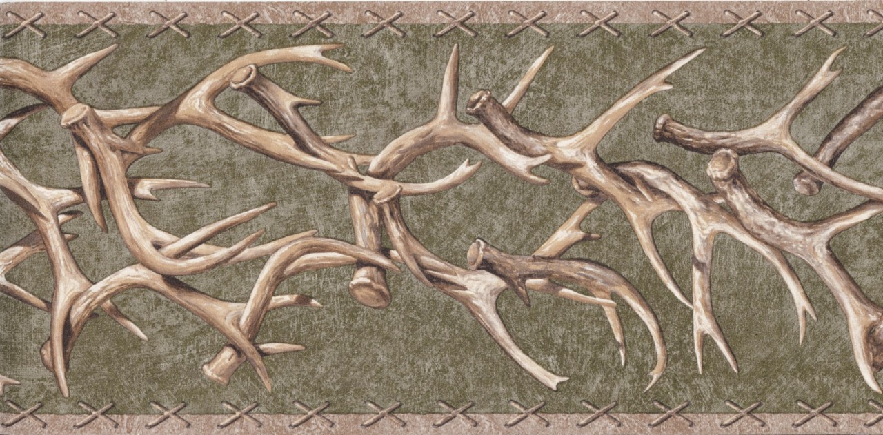 deer wallpaper border,antler,elk,horn,branch,tree