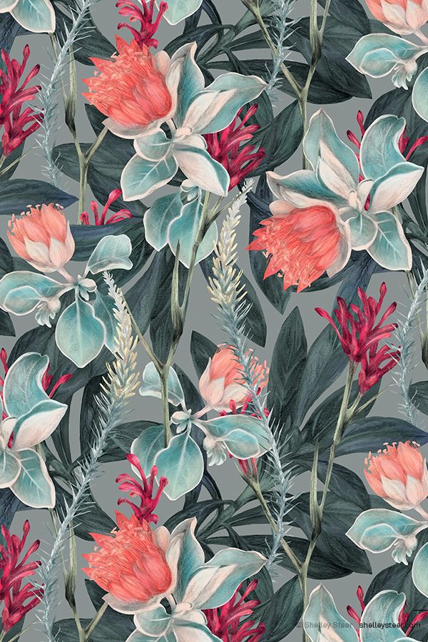꽃 무늬 벽지 호주,꽃,무늬,식물,디자인,꽃 피는 식물