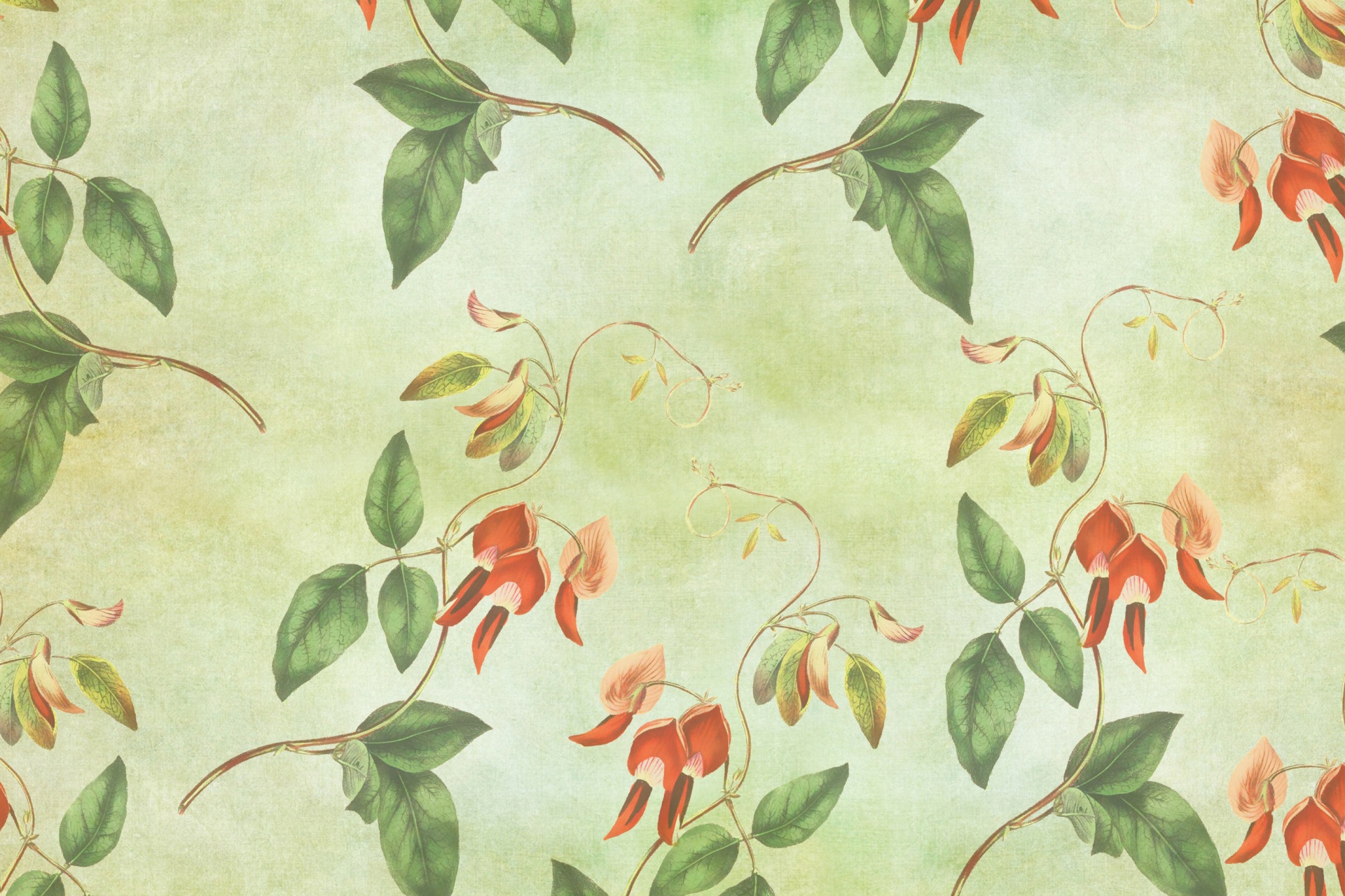 floral wallpaper australia,pattern,floral design,yellow,wallpaper,botany