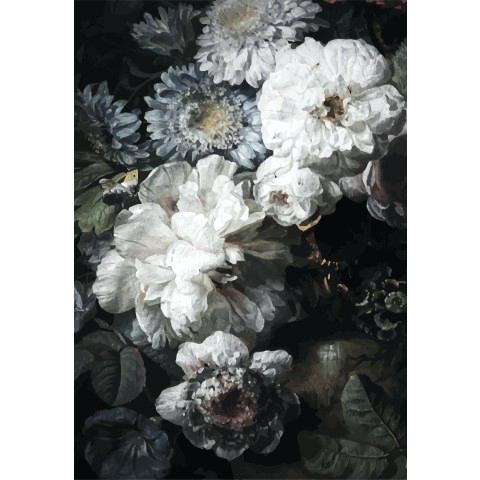 papier peint à fleurs australie,blanc,fleur,plante,nature morte,pétale